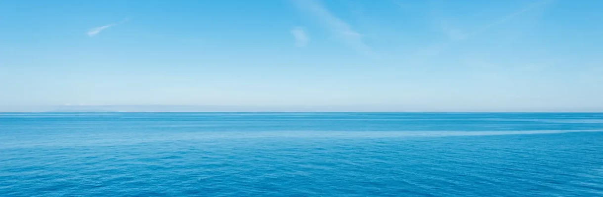 Beautiful calm view of the blue sea with clear ski 2025 01 31 02 10 25 utc (1)